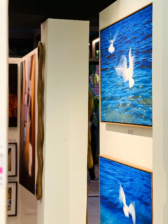 ARTE DESIGN CAMPINAS PETIT GALERIA