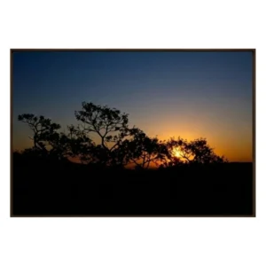 Silhueta Pôr do Sol • 80x120