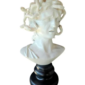 Medusa • 62 x 34 x 30 • Flávio Camargo