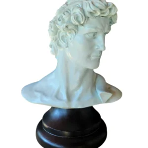 Davi • 53 x 42 x 30 • Flávio Camargo